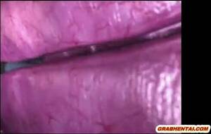 Animated Spider Porn - Anime Hentai Caught and Fucked by Spider Monsters | AREA51.PORN