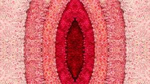 Gwyneth Paltrow Porn Comic - What The Goop Lab gets right (and wrong) about sex | WIRED UK