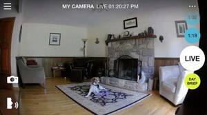 Home Invasion Forced Mother Porn - Security Cameras, Ethics, and the Law | Wirecutter