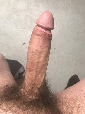 dick - Do I have a porn star dick? (37) : r/MassiveCock