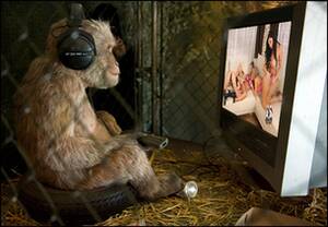 Monkey Watch Porn - Monkey Watch Porn | Sex Pictures Pass
