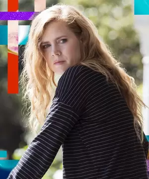 Amy Adams Maid Porn - Who Is Camille Father On Sharp Objects?