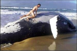 Hd Whale Porn - Whale Nail | MOTHERLESS.COM â„¢