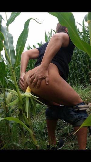 Bizarre Ass Porn - porn rock & soccer on Twitter: \