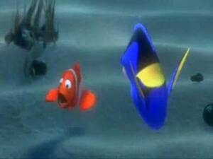 Finding Nemo Porn Female - Finding nemo funny clips - Excellent porn.
