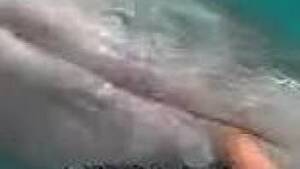 dolphin vagina cam - Armed with cam diver films how he stimulates a dolphin pussy