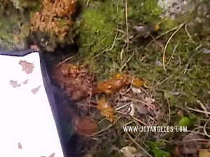 Halo 4 Porn Fart - scat piss fuck whores contacts