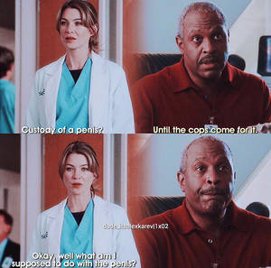 Greys Anatomy Porn - Greys Anatomy, Porn, Anatomy