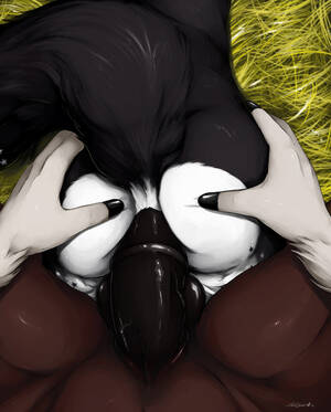 Gay Furry Sex Porn Hores - Rule 34 - anal anal sex anthro ass balls canine doggy style equine fox from  behind fur furry gay horse male penetration penis raised tail sex  truegrave9 | 1162164