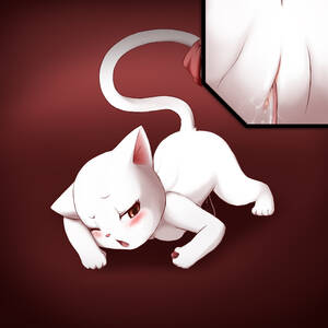 Cat Fairy Tail Porn - Fairy Tail Wendy Hentai image #245983