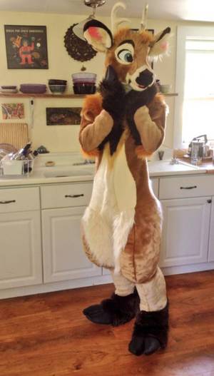 Furry Shark Porn Hunting A Mate - Aww I remember when I used to hate furries.