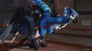 Brutal Furry Anal - 3D Yiff by ruaidri Furry Porn Sex E621 Female Avian Bondage BDSM watch  online or download