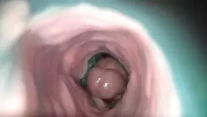 Mare Pussy Masturbator - Fucking the sluttiest mare (toy) | xHamster