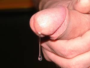 homemade cock cum - Precum closeup