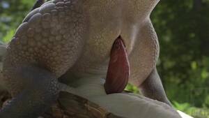 Lizard Porn Animated Cum - FURRY LIZARD FOREST RIDE (DZÃ„T)