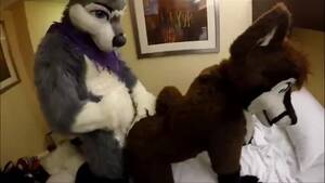 Gay Furry Porn Movies - Gay furry porn videos & sex movies - XXXi.PORN