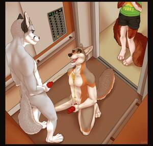 Furry Porn Peeing - Rule 34 - anthro canine chaine redfield chapiduh duo elevator erection furry  kemonowolf kneeling male mammal nude one eye closed open mouth peeing penis  public spread legs spreading urine watersports wolf yaoi | 2369091