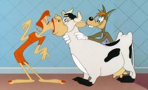 mgm cartoon porn - mgm cartoons - Google Search