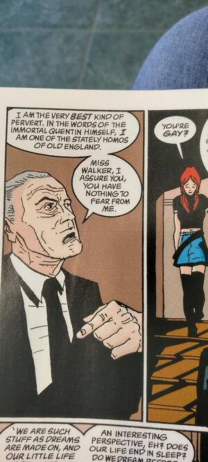 Gay Sandman Porn - Saw this and I'm consistently amazed by Gaimen's casual representation : r/ Sandman