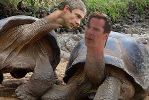 Bing Porn Meme - College Mixer: Duke Porn Star Scandal, #FailedCollege Tweets, Ridiculous  Benedict Cumberbatch Memes