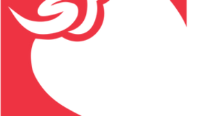 amai liu is - Unable Records Signs Adult Film Star Amai Liu