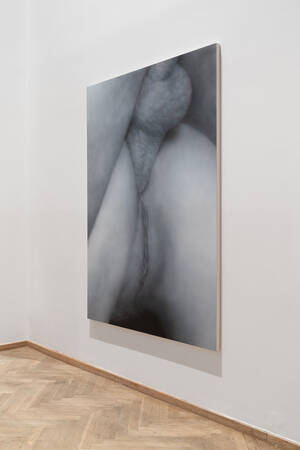 art pornography - Art & Porn | Kunsthal Charlottenborg | Udstillingsted for samtidskunst