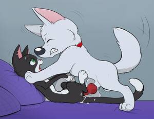 Disney Bolt Porn - bolt (film) â€“ disney porn animal #9351546283 genitalia black fur bolt bolt  (film) canine canine penis | Disney Porn
