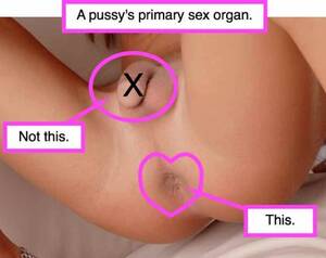 Femboy Pussy - thumbs.pro : s19000: Use a pussy the way a pussy should be used. Femboy  anatomy hihi