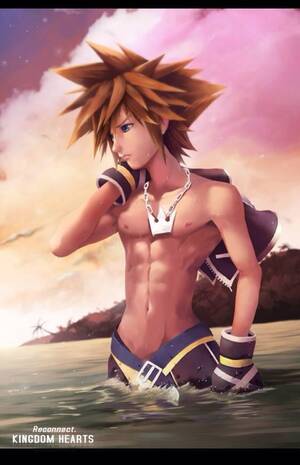 Kingdom Hearts Gay Porn - Media] Fighting heartless and nobodies got sora looking like a snack : r/ KingdomHearts