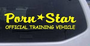 Funny Car Porn - Amazon.com: Yellow 8.5in X 2in - Porn Star Official Training Vehicle Funny  Car Window Wall Laptop Decal Sticker : Tools & Home Improvement