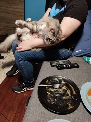 Asian Straight Porn Tumblr - Totally not a supervillain