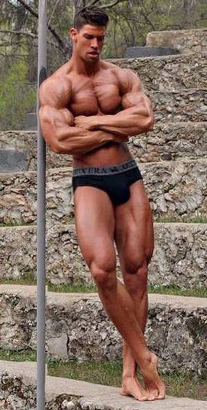 Muscle Porn Stars - Porn Star Bodybuilder