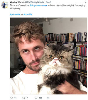 Cat Porn Captions - Gay porn star Wesley Woods