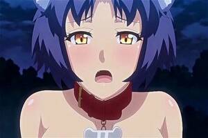 Furry Hentai Anime Porn - Watch furry hentai - Furry, Furry Hentai, Hentai Porn - SpankBang