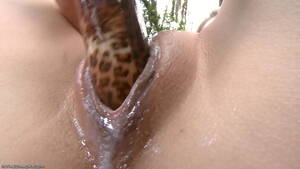 Jana Jordan Solo Porn - Jana Jordan creamy solo - XNXX.COM