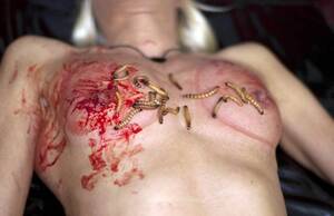 Insect Pussy Insertion - Pussy Punishment Insects | BDSM Fetish