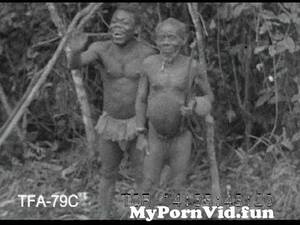 African Pygmy Porn Girl - African Pygmy Thrills, 1930s from afrikan old Watch Video - MyPornVid.fun
