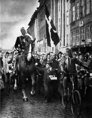 Copenhagen 1940s Porn - King Christian X riding through Copenhagen on his 70th birthday, 26  September 1940. The picture was taken during the German occupation of  Denmark. [1600Ã—2054] : r/HistoryPorn