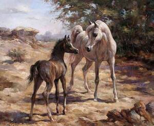 Hairy Pussy At Nudist Colony - Horses throughout human history - Ù…ÙˆÙ‚Ø¹ Ø§Ù„Ø®ÙŠÙ„ Ø¯ÙˆØª ÙƒÙˆÙ…