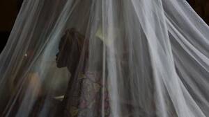 African Forced Sex Porn - They Said We Are Their Slavesâ€: Sexual Violence by Armed Groups in the  Central African Republic | HRW
