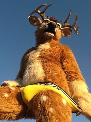 3 Way Gay Furry Reindeer Porn - Furry Fursuit Female Sex Pics - Sex Porn Images