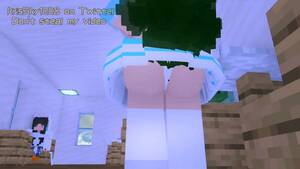 Minecraft Porn Panties - Constipate - ThisVid.com