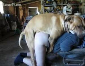 Extreme Bestiality Anal Porn - Anal bestiality - Extreme Porn Video - LuxureTV