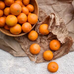 D%c3%bcnn - Jeju Tangerines: What Makes Them Special? â€” bluebasket