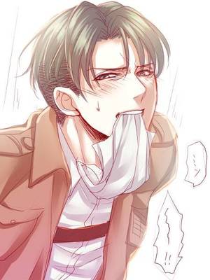 Aot Levi Porn - Levi (Rivaille) - Attack on TItan - SNK - Shingeki no Kyojin . I think I  need a tissue