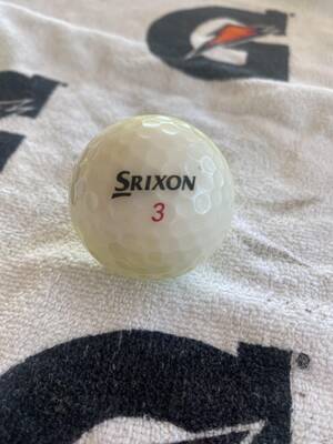 golf ball - Golf Ball Porn: Favorite Balls I've Fished Out of The Woods. (I have a  thing for Srixon & Noodle) : r/golf