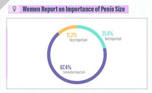 Average Size Penis - Penis Length