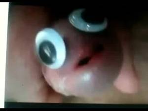 Finding Nemo Porn Parody - 