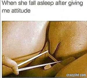 Funny Pussy Memes - CrazyShit.com | pussy memes - Crazy Shit