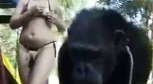 Chimpanzees Fucking Sexy Girls - Blonde and chimpanzee animal sex